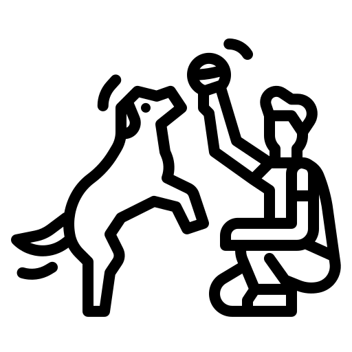 אילוף כלבים