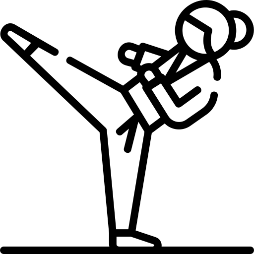 אומנויות לחימה