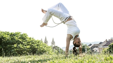 קפוארה ג-ד בני דקלים.jpg