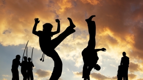 קפוארה גן בני דקלים.jpeg