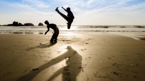 קפוארה גן נהורה.jpg